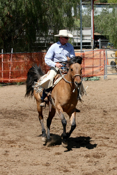 Read more about the article Exercise # 1 Spiral in-Spiral out-Canter Depart